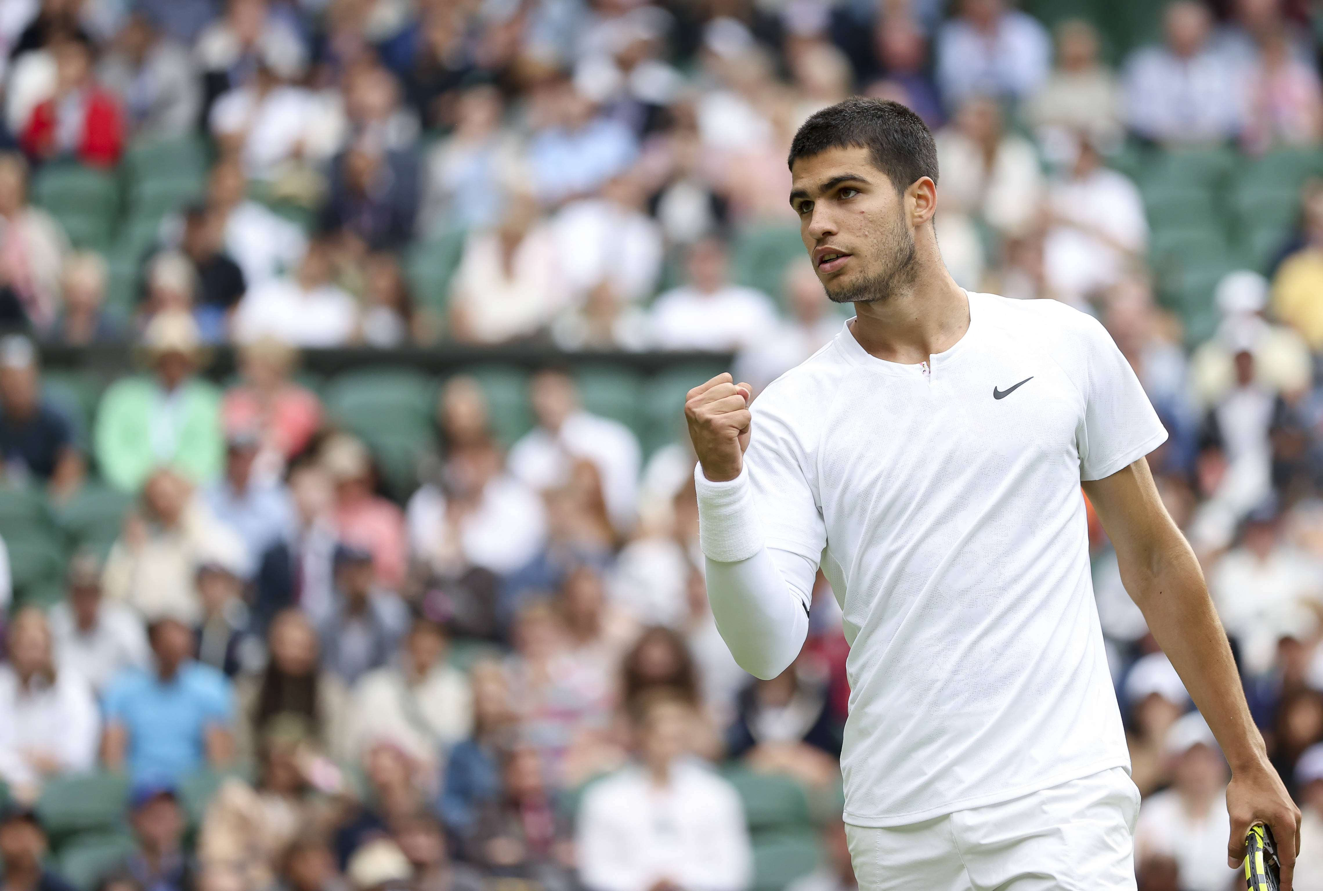 袭称王的动 袭称王的动