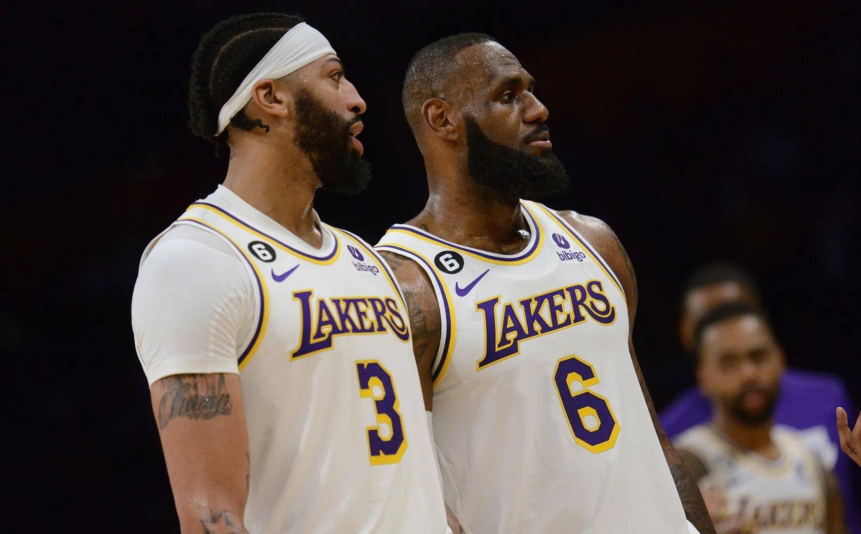 影响与展望 影响与展望